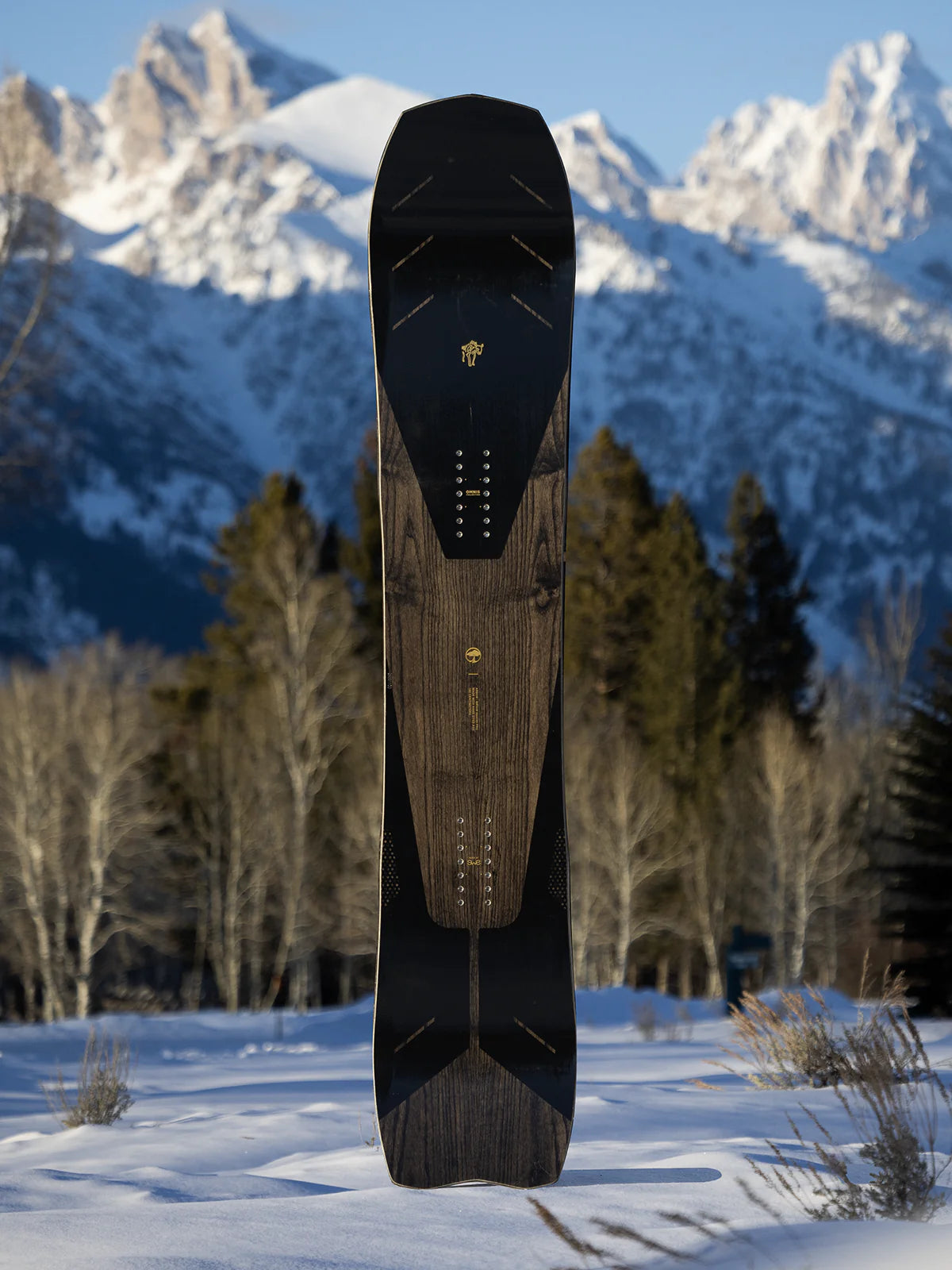 Arbor Bryan Iguchi Pro Snowboard 2026