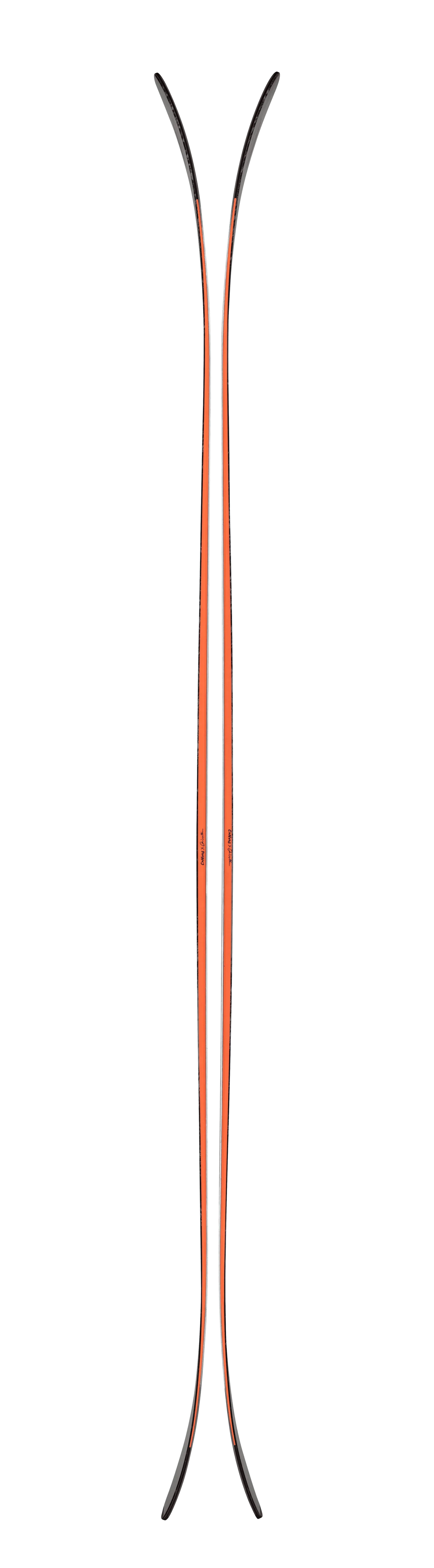Blizzard Canvas 100 Skis