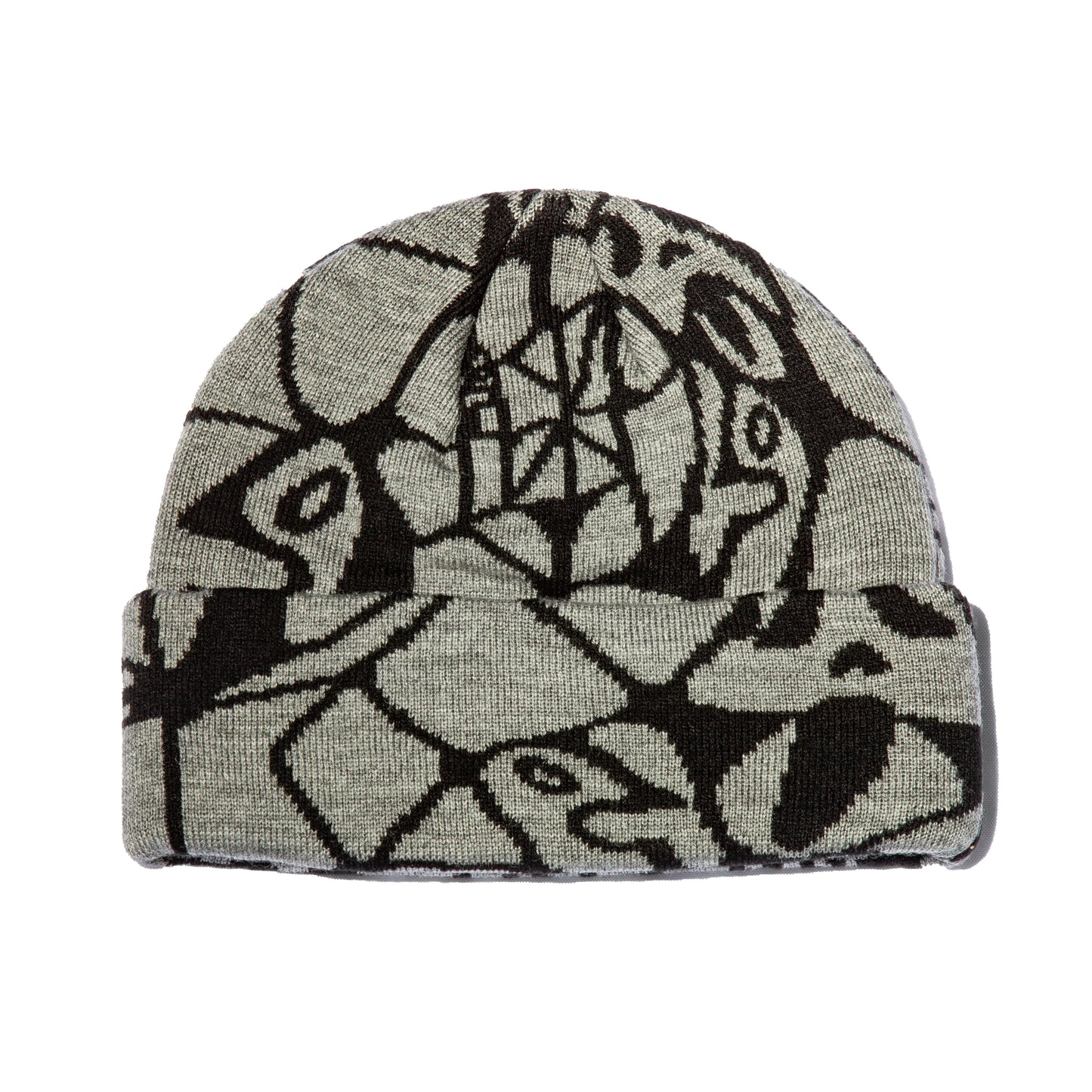 Public General Beanie